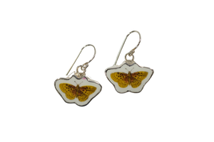 Golden butterfly earrings