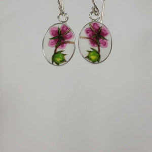 Oval Portmeirion Earrings